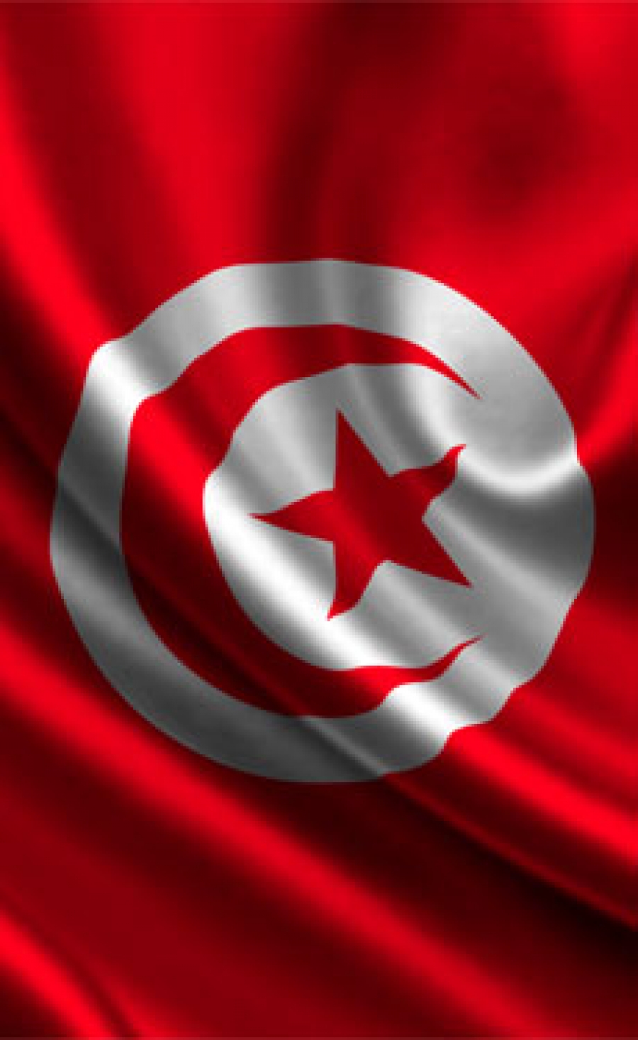 Knauf to invest Euro80m in Tunisia