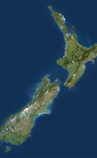Housing demand in New Zealand falls by 20% year-on-year