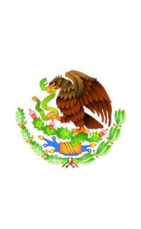 National Autonomous University of Mexico team develops sargassum-based wallboards
