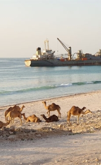 Oman exports 12Mt of gypsum in 2024
