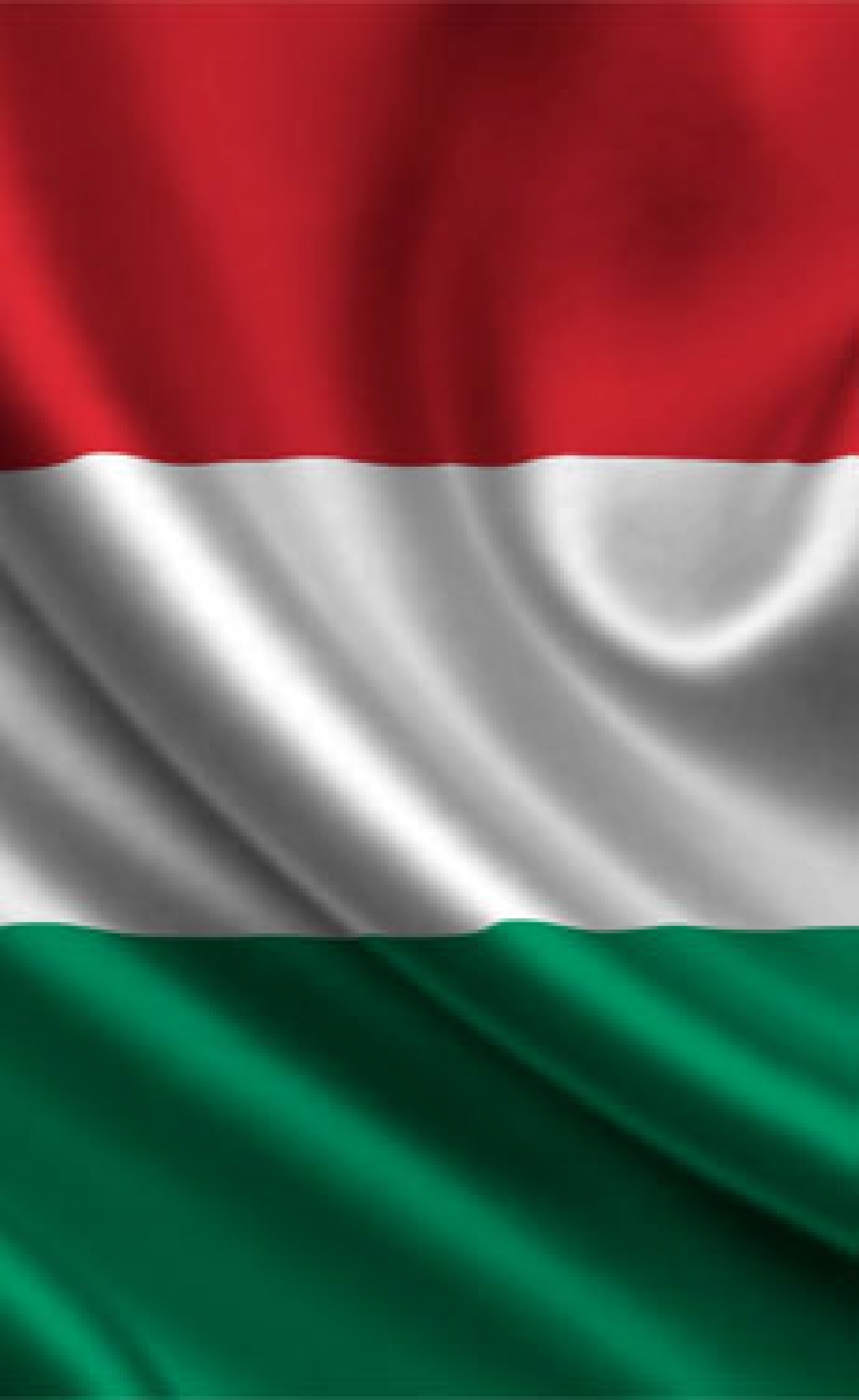 Stavmat Epitoanyag Kereskedelmi commences recycled alternative wallboard production at Kaposvar pilot plant