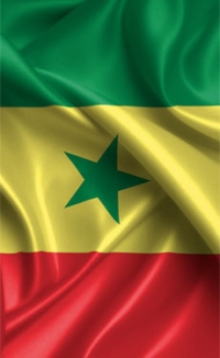 Eco Buildings Group forms Senegalese joint venture