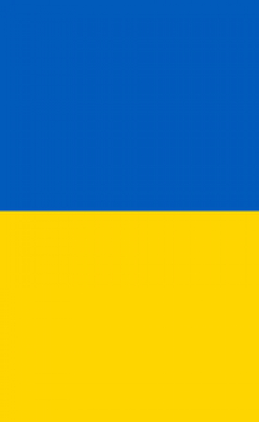 Russian forces bomb Knauf’s Donbass gypsum wallboard plant