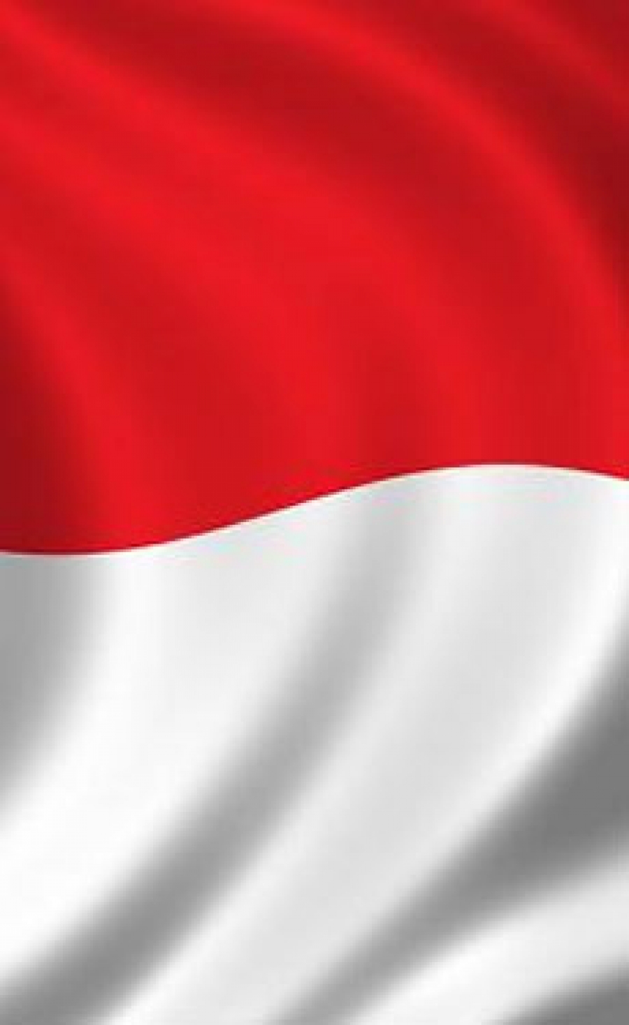 PT Siam-Indo Gypsum orders Gebr. Pfeiffer vertical mill
