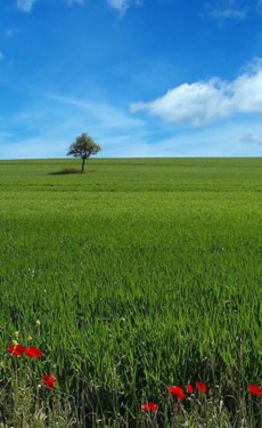 Etex embarks on Road to Sustainability 2030