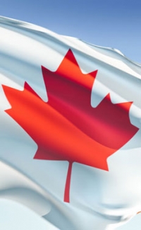 Canada starts anti-dumping case against US gypsum wallboard