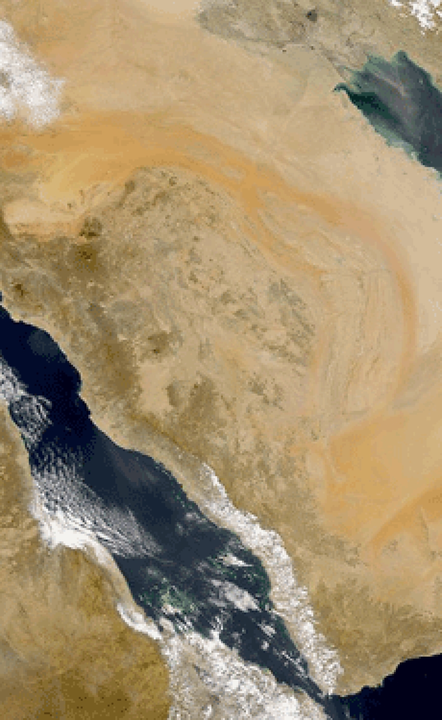 United Mining Industries to commission new gypsum wallboard line in Saudi Arabia