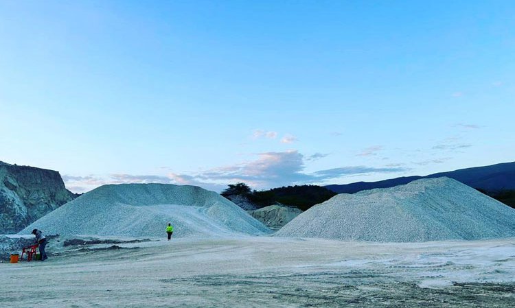 Reichenbach's gypsum is of a consistent high quality.